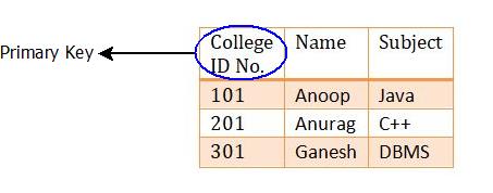 Keys In DBMS : Primary Key Example